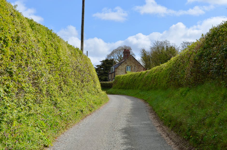 A narrow, curved country lane with a gravel surface, flanked by tall, neatly trimmed green hedges on both sides, leading towards a traditional stone cottage with a chimney and a pitched roof in the distance. The scene is outdoors under a partly cloudy sky, with some trees visible behind the hedges and a utility pole standing on the left side of the road. The environment suggests a quiet residential area suitable for house removals and furniture transport, with the road providing access for moving vehicles. The image depicts a typical rural route that could be used for home relocation or packing and moving logistics, with natural daylight illuminating the scene. Man with Van Pratts Bottom is familiar with such routes for efficient moving services, ensuring safe transport of furniture and boxes along common lanes like this one.